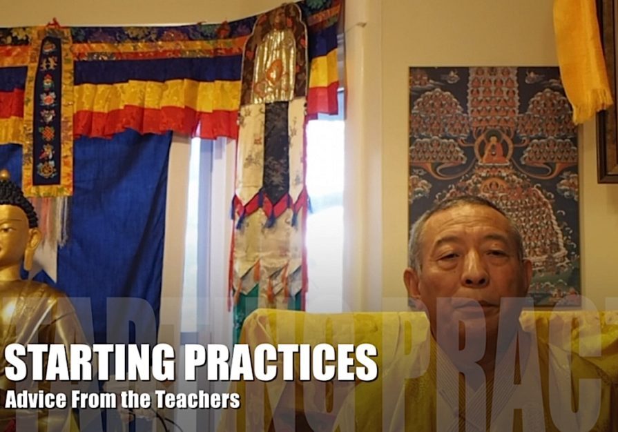 Buddha Weekly Video Advice from the Teachers 6 For the Beginner Starting Practices Buddhism Zasep Tulku Rinpoche