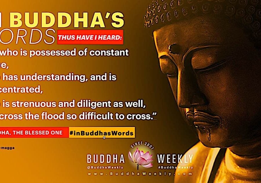 “He who is possessed of constant virtue, Who has understanding, and is concentrated, 
Who is strenuous and diligent as well, Will cross the flood so difficult to cross.” 
Buddha, The Blessed One from Visuddhi-maga (S I 53).