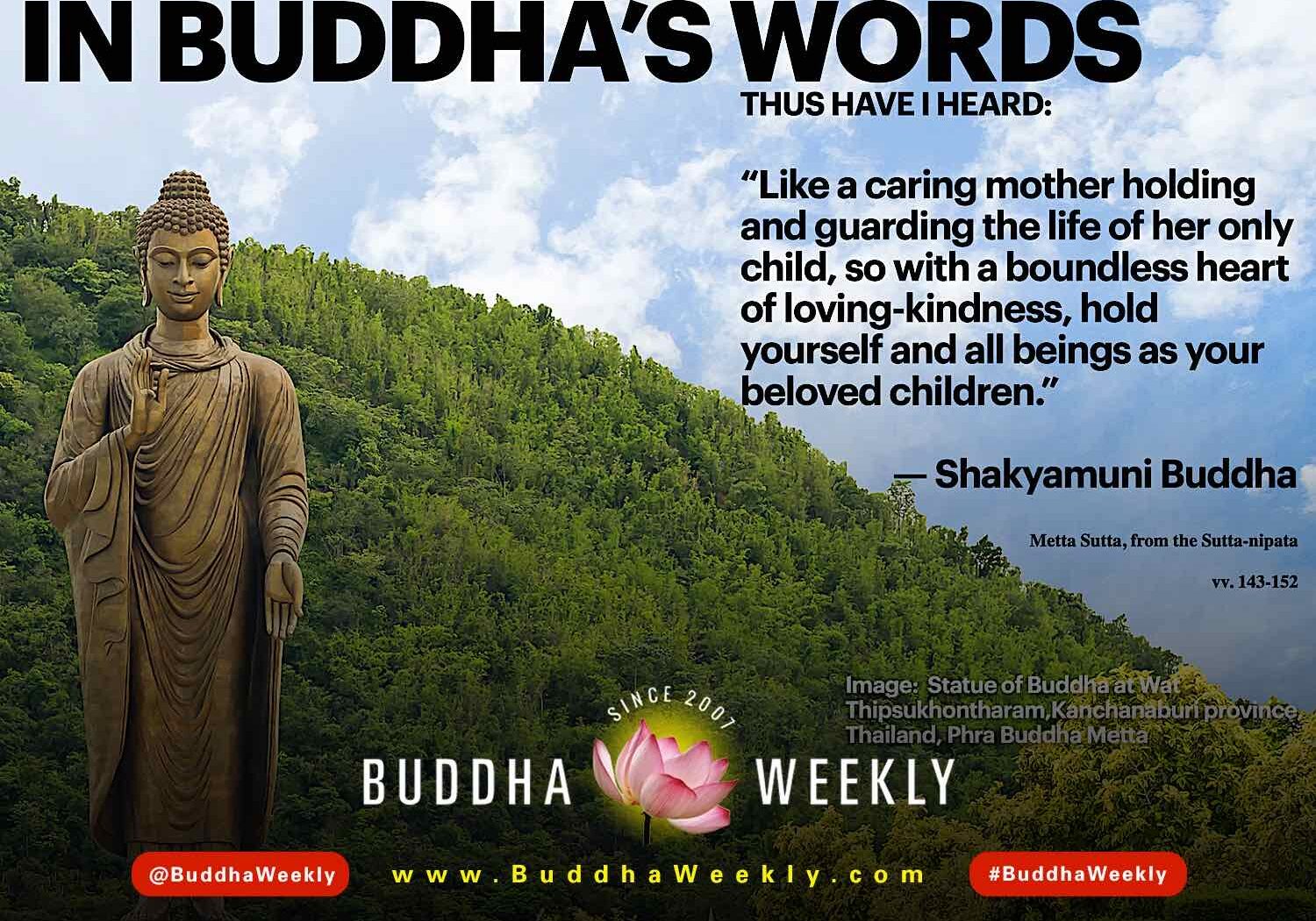 New series on Buddha Weekly: In Buddha's Words. Actual verified Quotable quotes from the Buddha with citations from source.