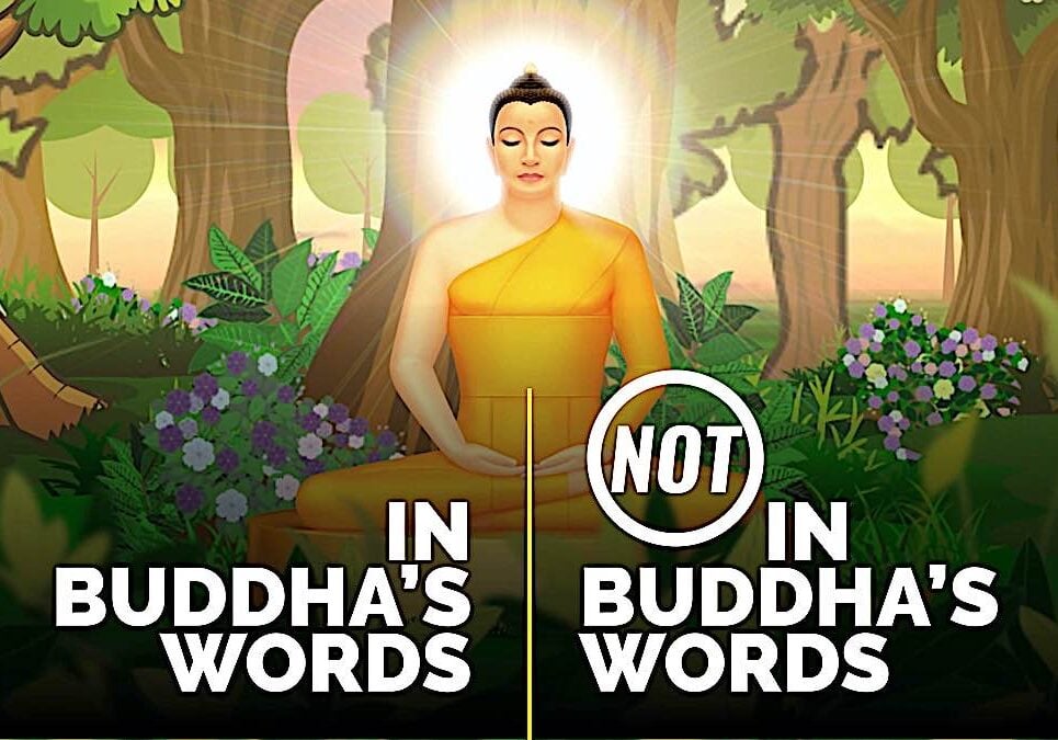 New video series from Buddha Weekly "In Buddha's Words — NOT in Buddhas Words."