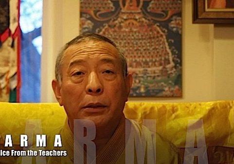 Buddha-Weekly-Question about Karma for Venerable Zasep Tulku Rinpoche-Buddhism