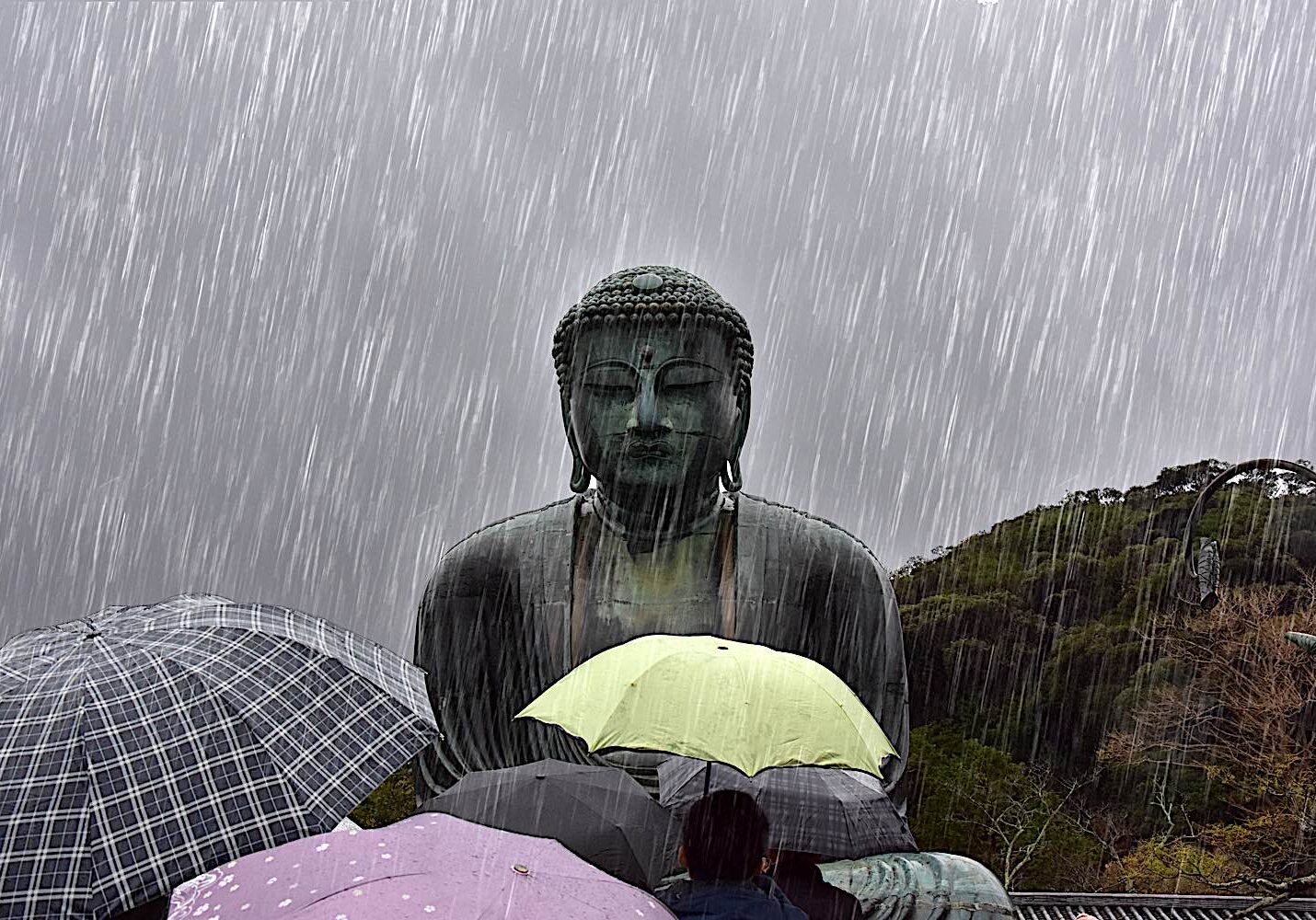 Buddha of Kamakura on a rainy day.