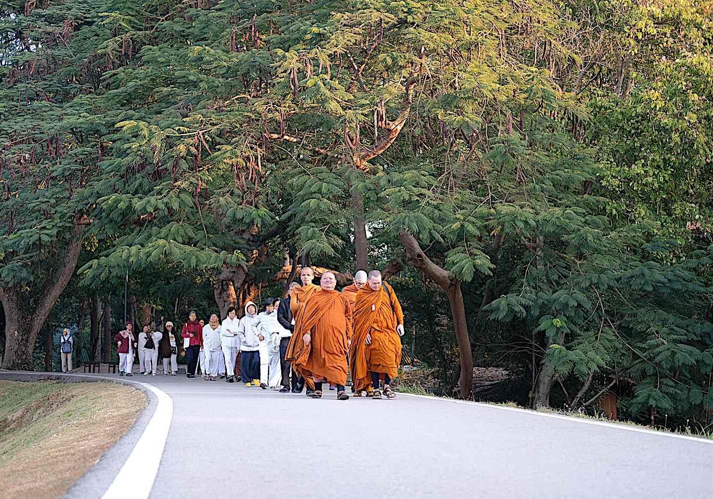 Remaining mindful while walking is a well-known daily practice in Buddhism. Here monks lead lay practitioners on a silent walking meditation in Thailand.