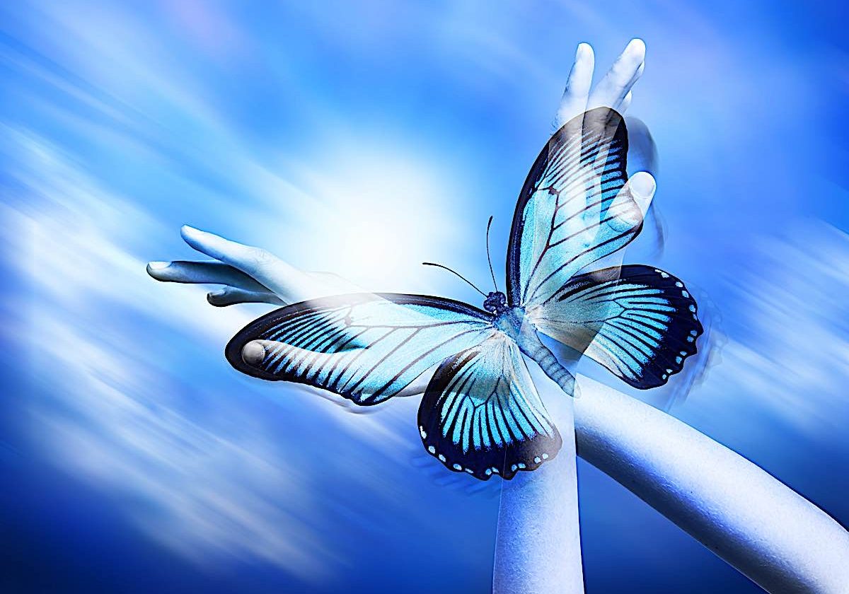 Rebirth is often symbolized with the metaphor of a butterfly. The Blue Morpho — one of the world’s most beautiful butterflies — with its iridescent blue color — is also one of the largest, with up to an eight-inch massive wingspan. Butterflies are one of the most common symbols of reincarnation around the world. It is the symbol used for the logo of our "sister" publication True Rebirth>>