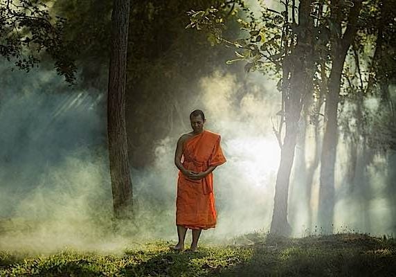 A Buddhist monk performing formal walking meditation on a forest path.