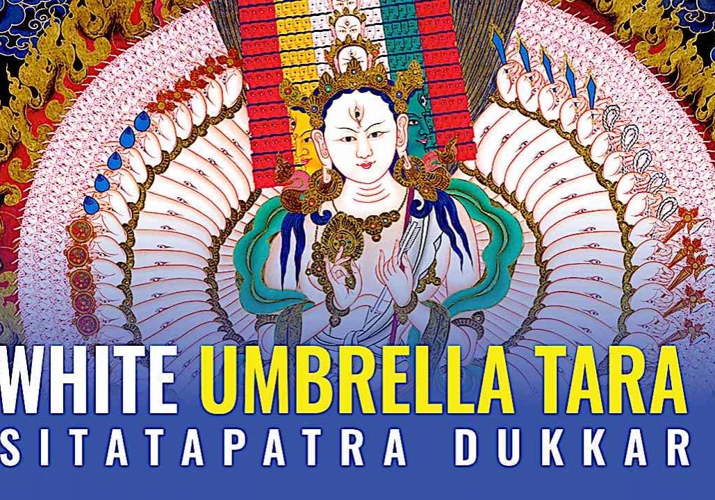 Buddha-Weekly-white umbrella tara thumbnail buddha weekly-Buddhism