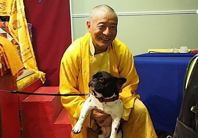 Venerable Zasep Tulku Rinpoche blessed this dog at the end of a Medicine Buddha Retreat in Owen Sound in April 2016. After the event he played with the fifteen-month old pup. Zasep Rinpoche teaches,  "We must not hurt other people and animals."