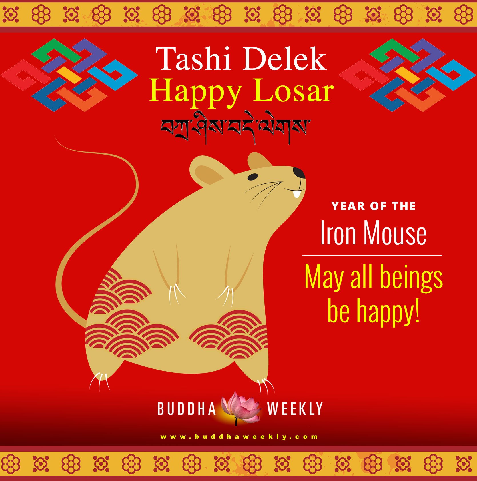 Losar mouse 2020