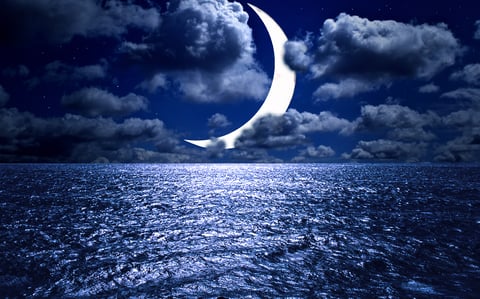 New Moon 147684510